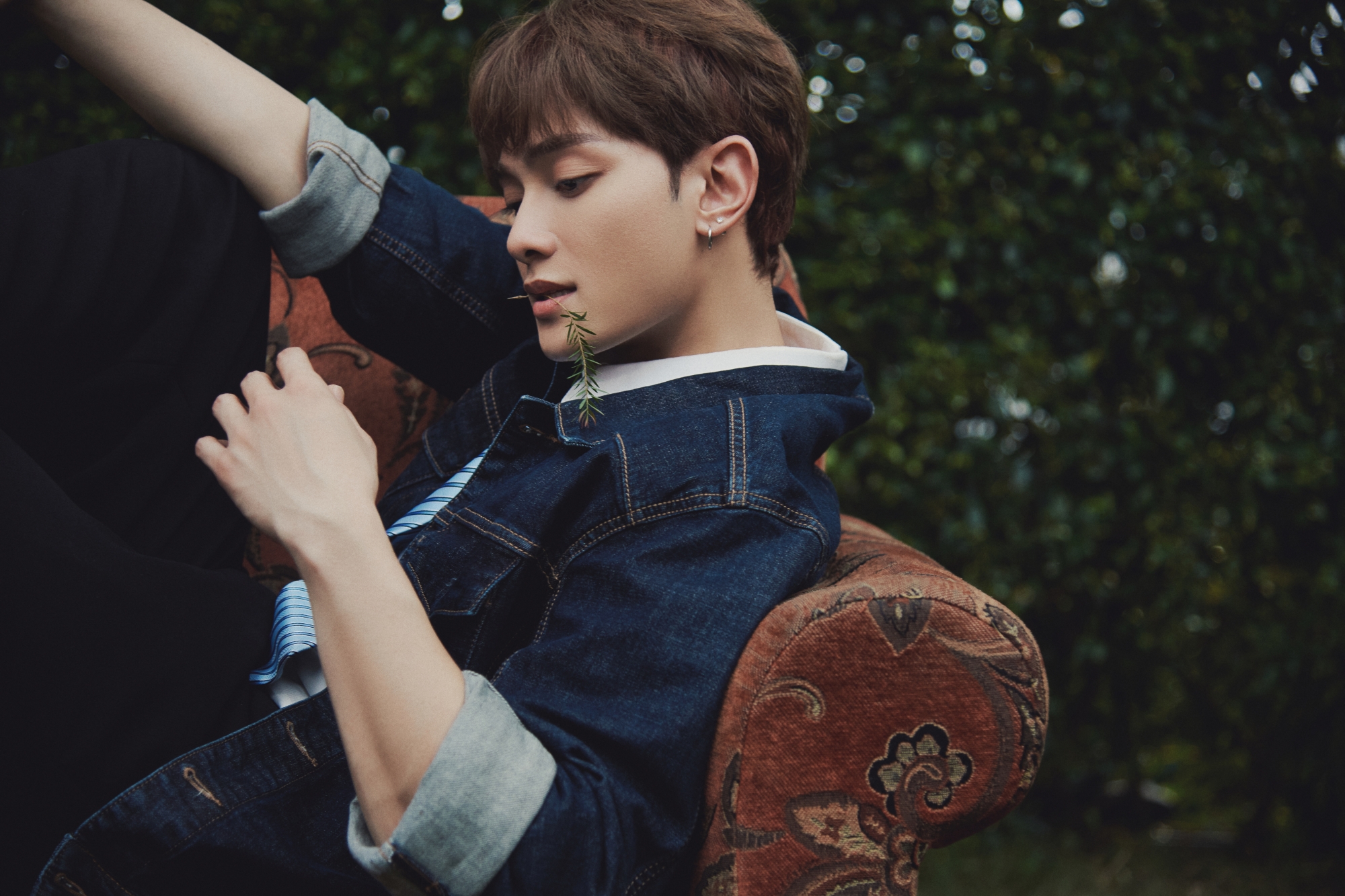 Roy Nguyen 4d 10170454