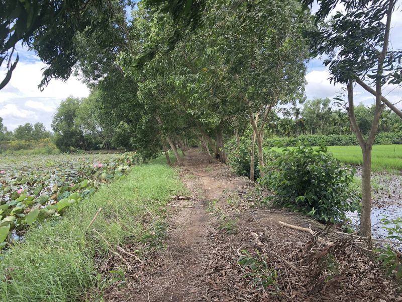 Cong Ty Kim Oanh Kien Nghi Tiep Tuc Dieu Tra Vu An Tai Du An Minh Thanh 3