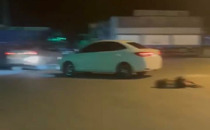 Luu Ban Nhap Tu Dong 44 3