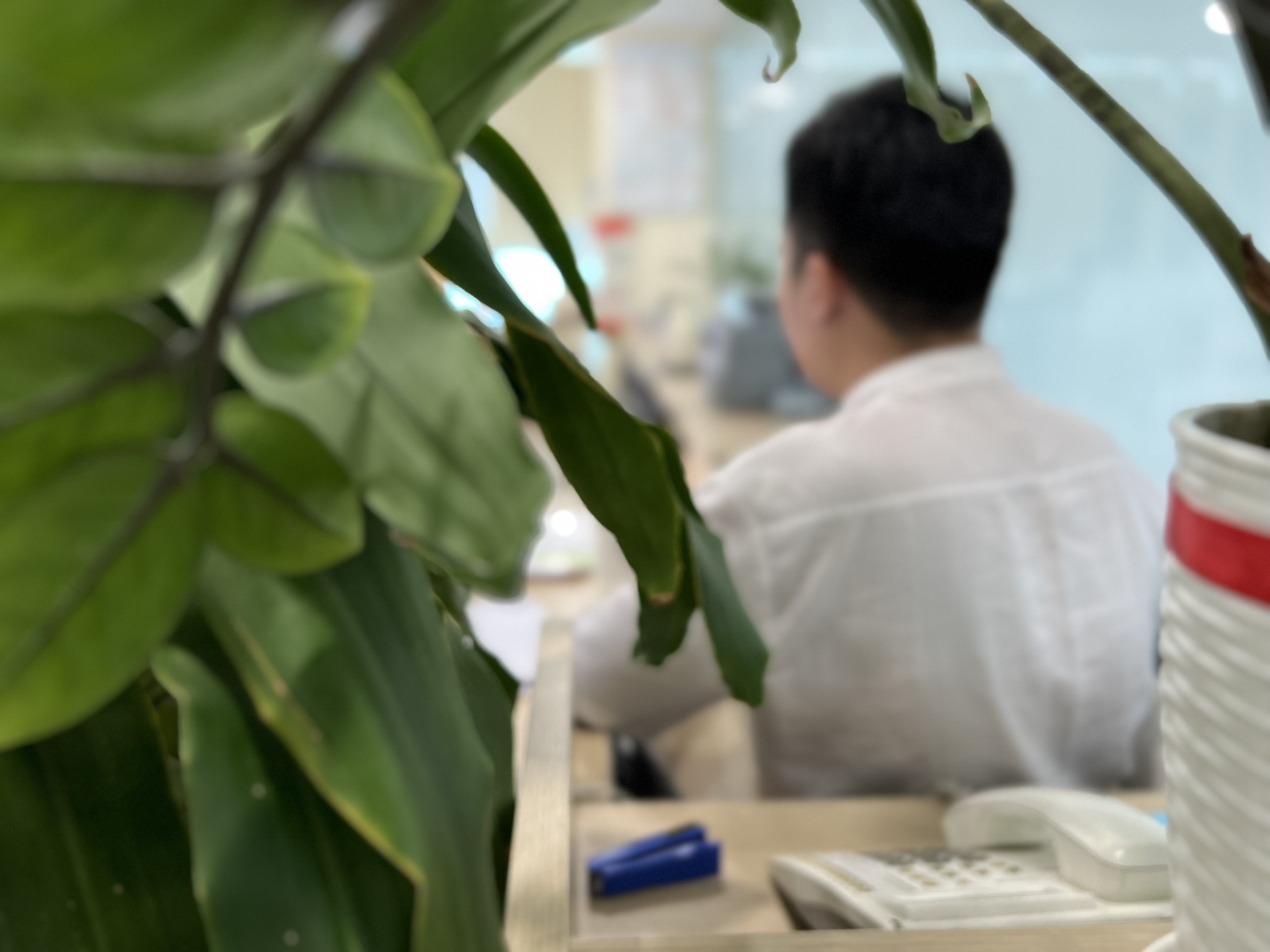 Luu Ban Nhap Tu Dong 5 2