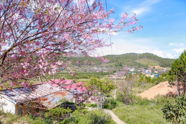 574ddb3b 0b2f 4383 A406 9c716198ed5d 1