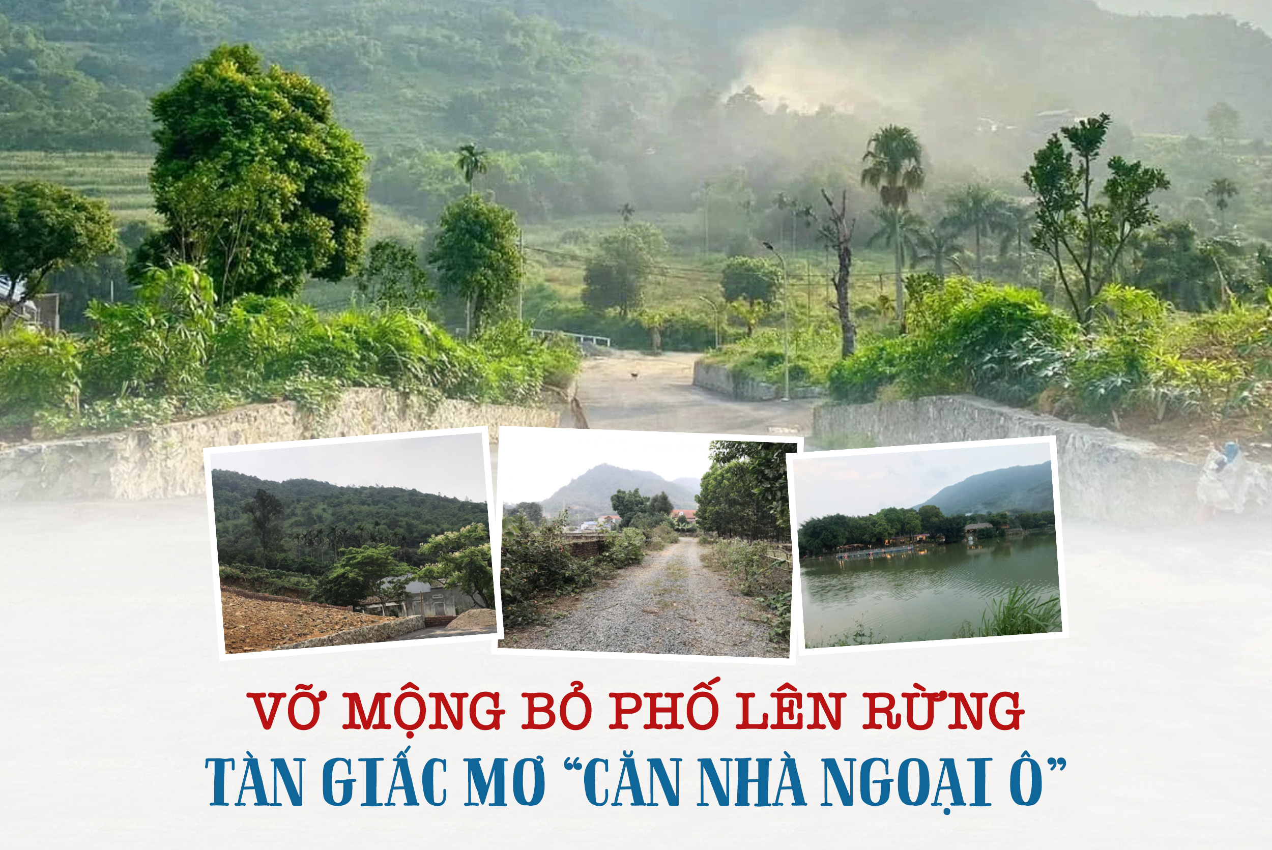 Vo Mong Bo Pho Len Rung Tan Giac Mo Can Nha Ngoai O 7 14390697