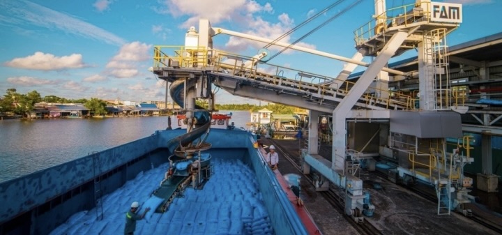 8882d2c0409a84c4dd8b 08504786 1