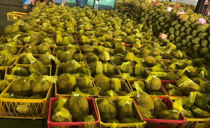 Doanh Nghiep Tu Tin Voi Ke Hoach Xuat Khau Dau Nam Moi 2