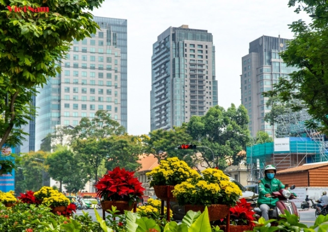 Luu Ban Nhap Tu Dong 31 1