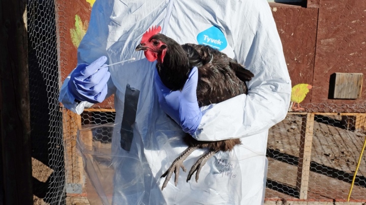 Luu Ban Nhap Tu Dong 75 1