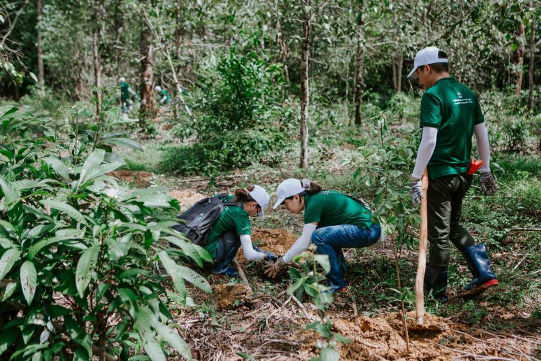 Nam 2022 Nestle Dong Gop 1.000 Cay Ve Khu Bao Ton Thien Nhien Van Hoa Dong Nai 1.jfif