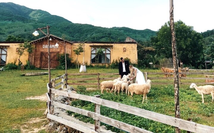 Hoat Dong Chui Thu Phi 100 Nghin Dong Luot Khu Du Lich O Da Nang Bi Dinh Chi 1