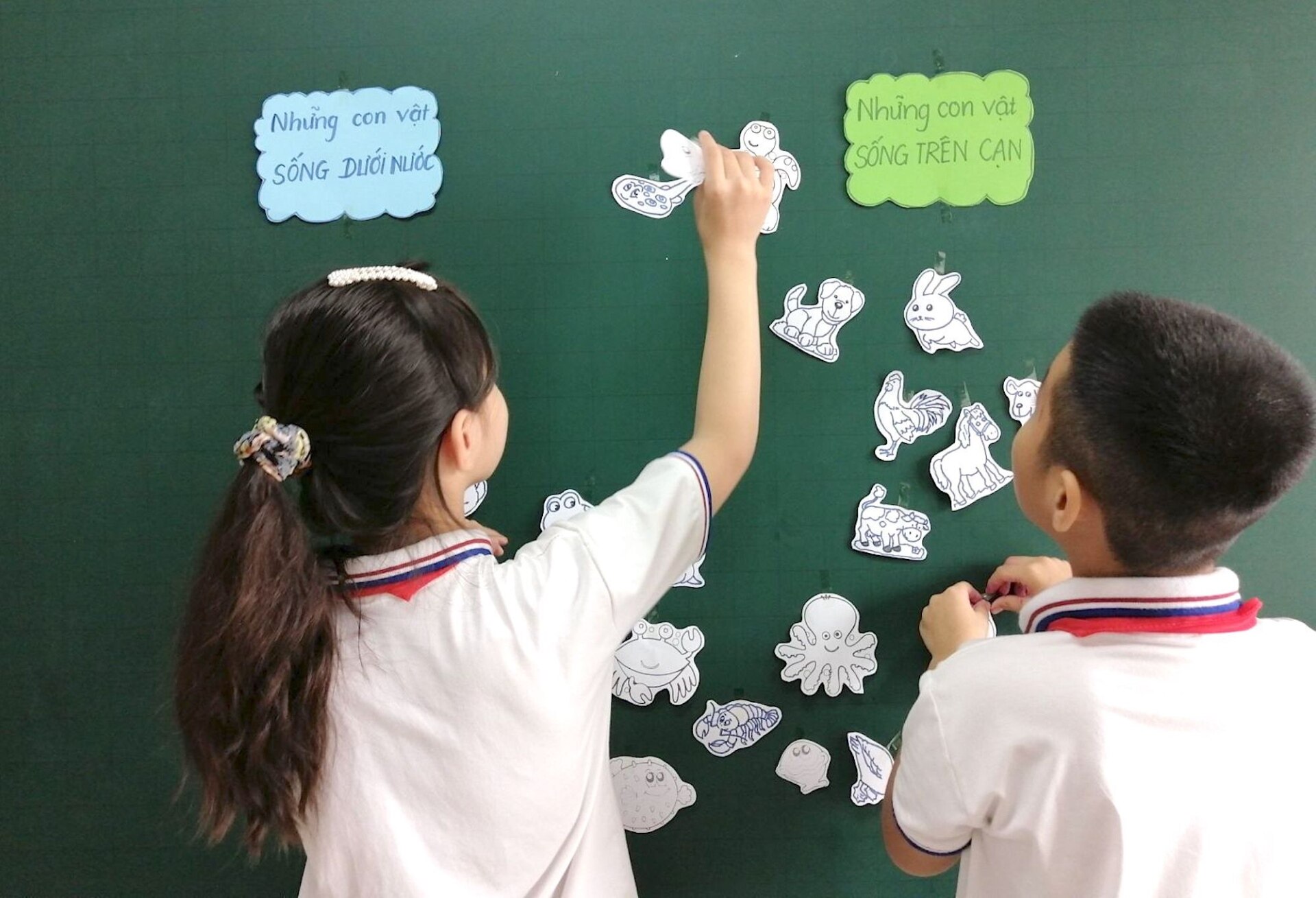 Luu Ban Nhap Tu Dong 13 1