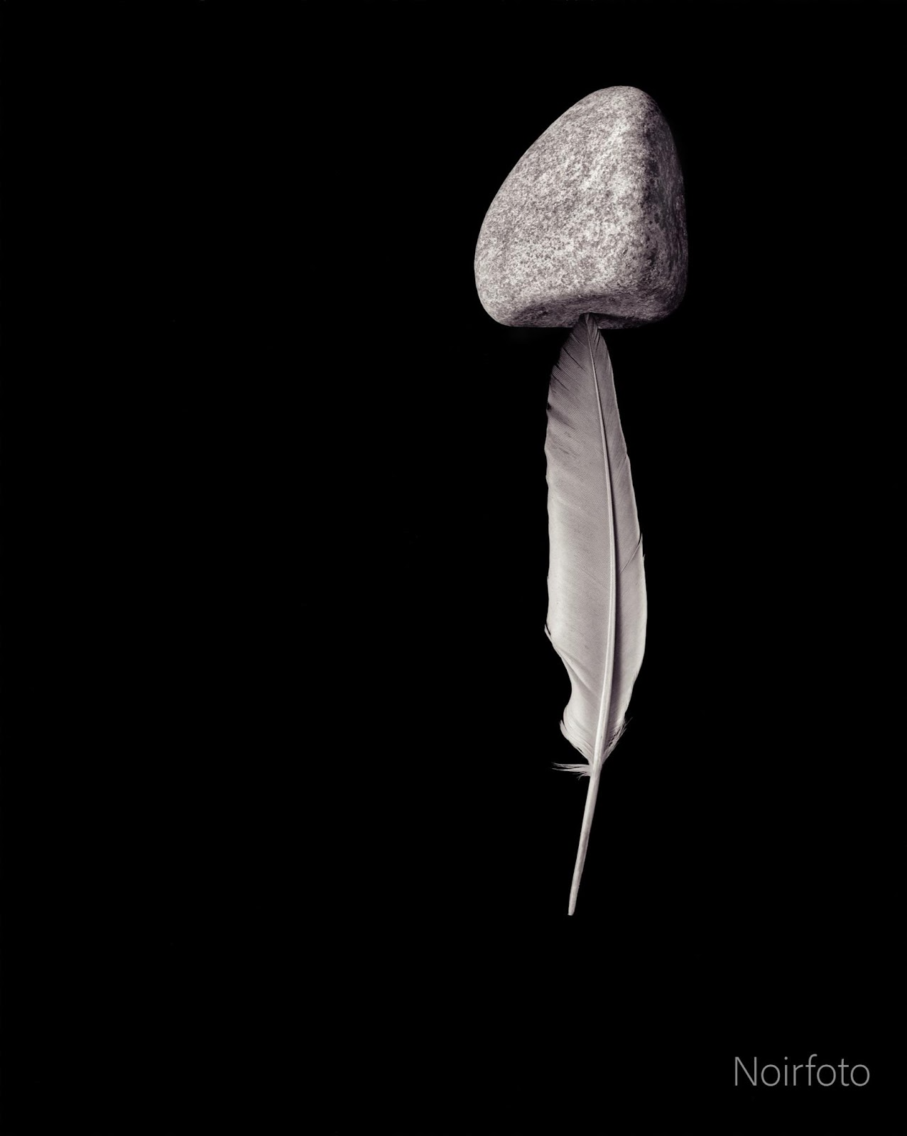 Image 25