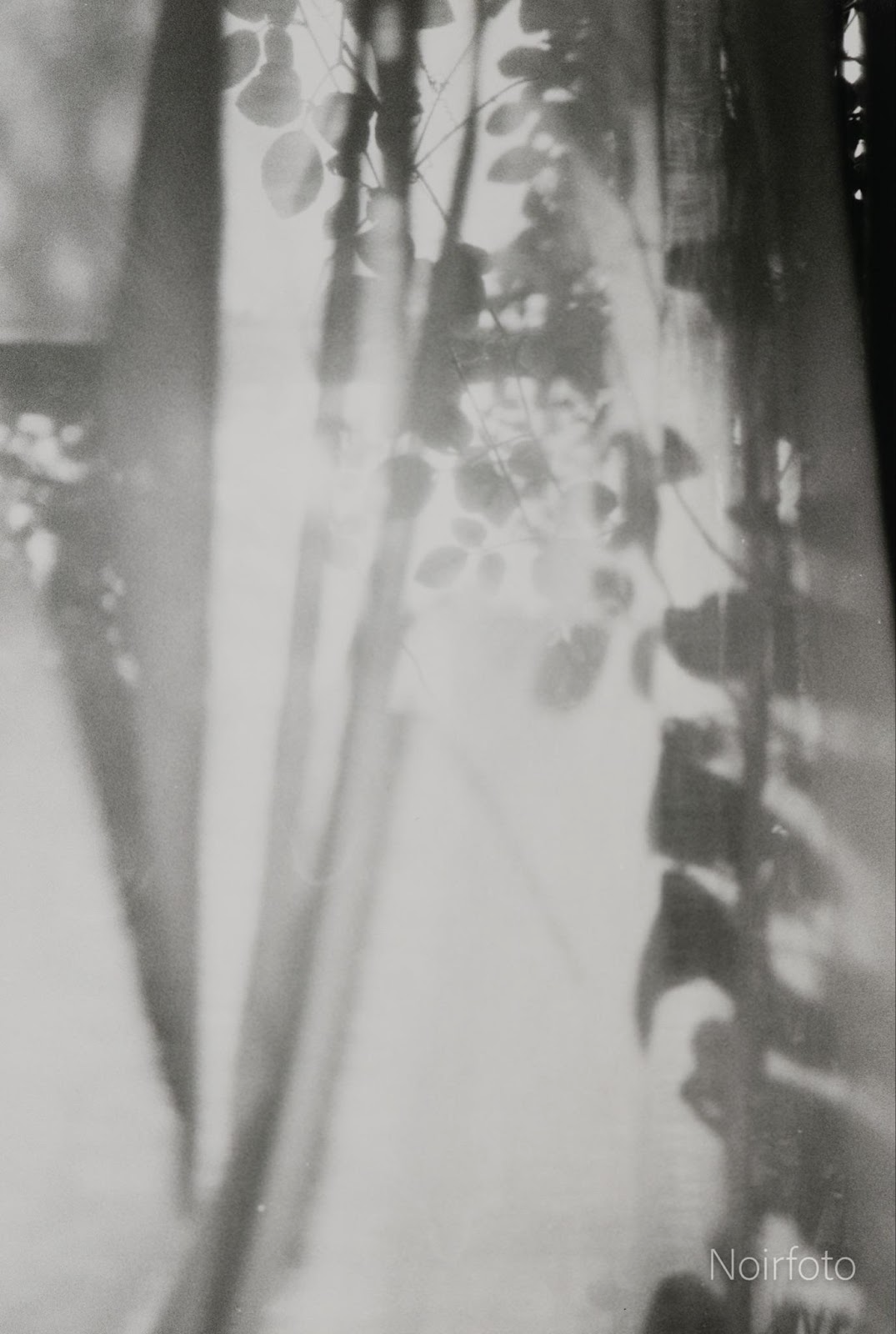 Image 29