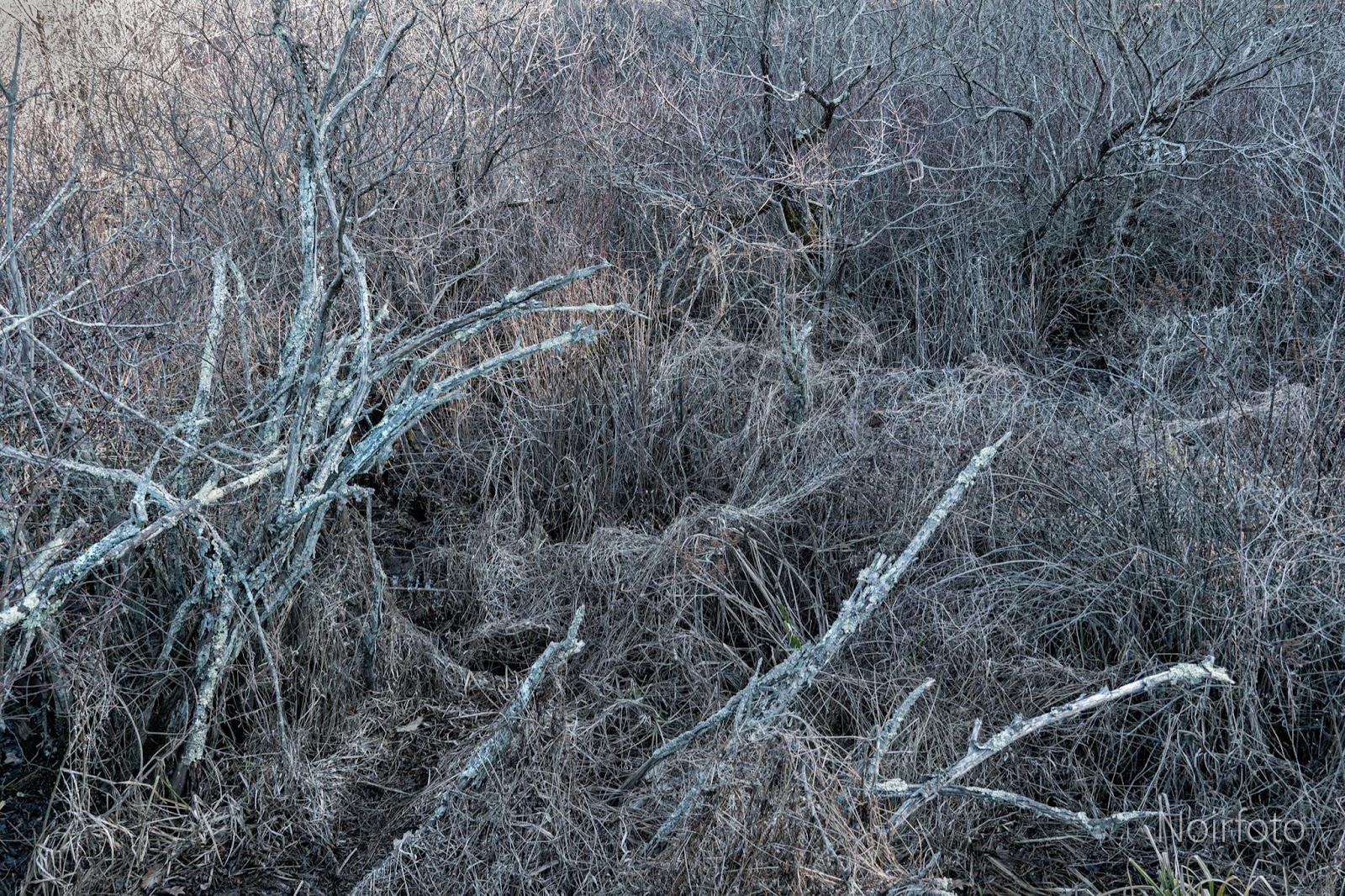 Image 34