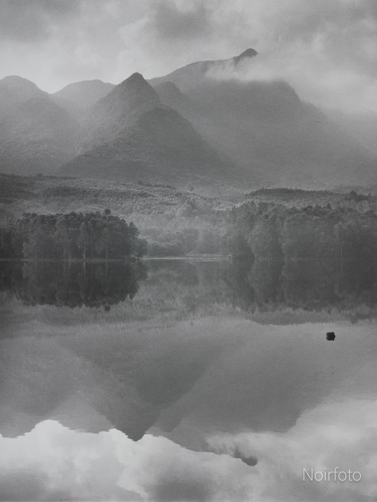 Image 36