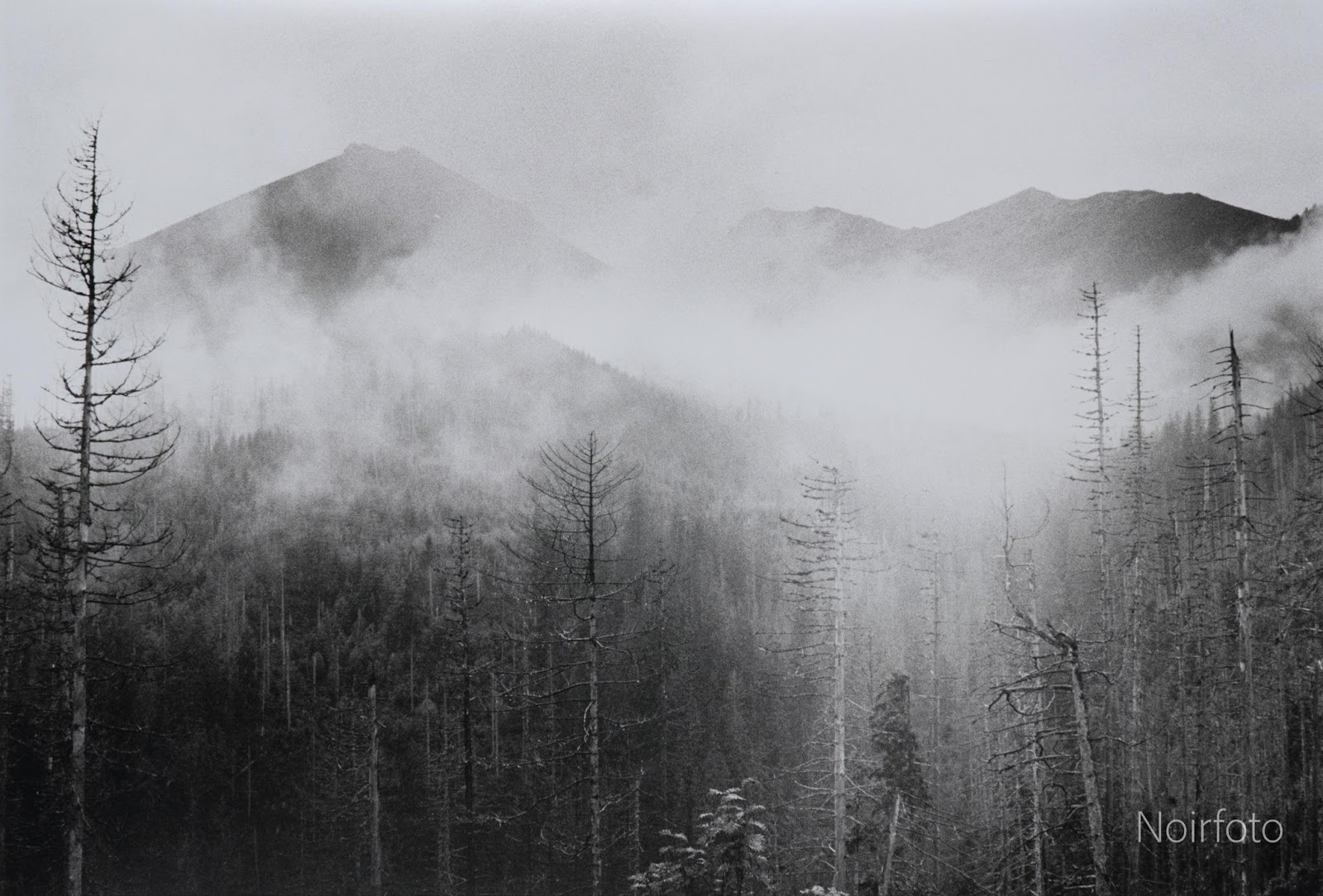 Image 37