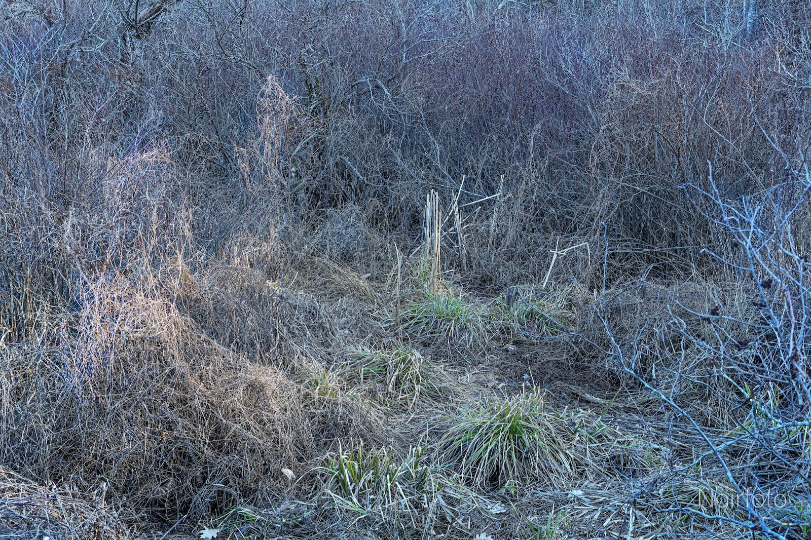 Image 39
