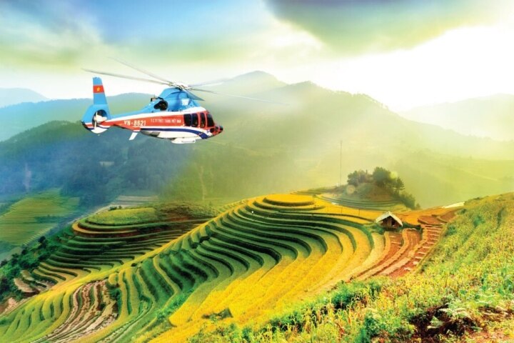 Luu Ban Nhap Tu Dong 13 1