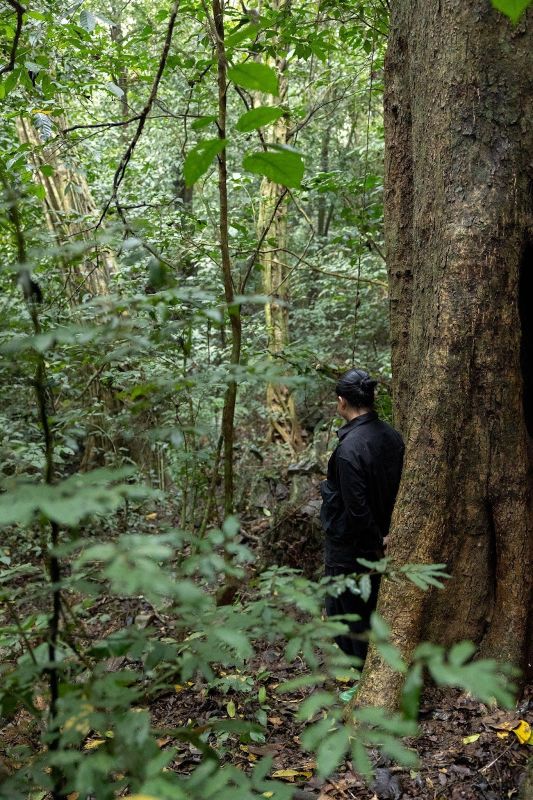 27d06edd 832d 443a 8a26 9d11f8e1675c 1