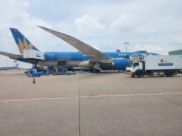 Luu Ban Nhap Tu Dong 20 1