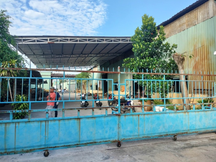 Luu Ban Nhap Tu Dong 43 1