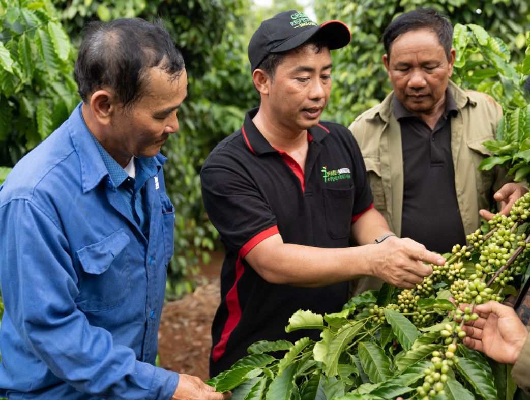 Can Bo Cua Nestle Viet Nam Chia Se Ky Thuat Canh Tac Ca Phe Ben Vung Voi Nguoi Nong Dan Tham Gia Du An Nescafe Plan 1 1