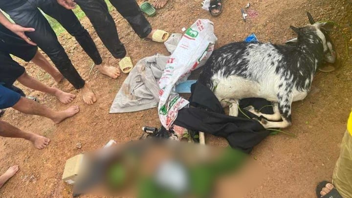 Luu Ban Nhap Tu Dong 24 2