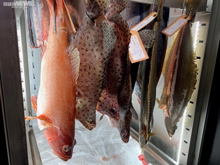 Luu Ban Nhap Tu Dong 3 1