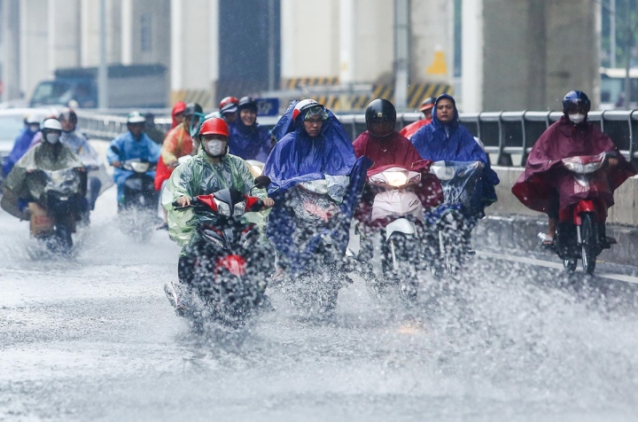 Luu Ban Nhap Tu Dong 52 1