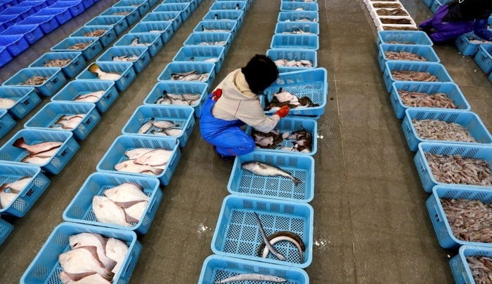 Luu Ban Nhap Tu Dong 74 1