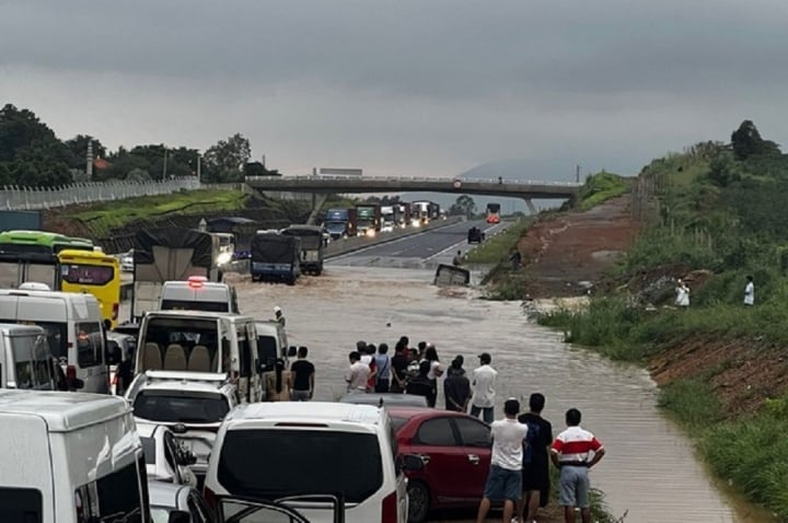 Luu Ban Nhap Tu Dong 79 1