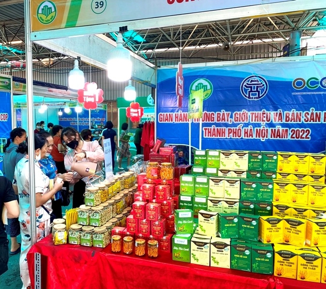 Doanh Nghiep Phan Phoi Ruc Rich Chuan Bi Hang Hoa Phuc Vu Mua Tet 3 1
