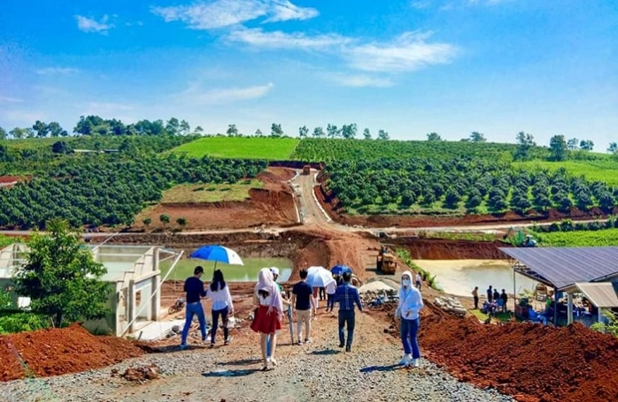 Luu Ban Nhap Tu Dong 59 1