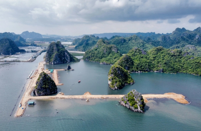 Luu Ban Nhap Tu Dong 19 1