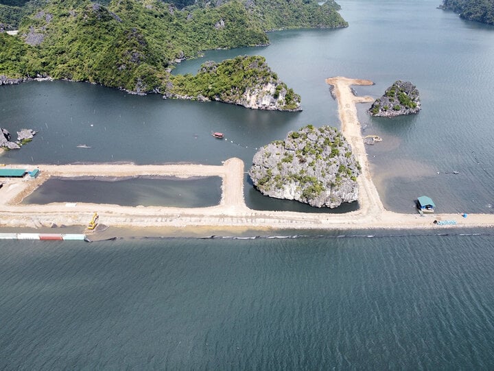 Luu Ban Nhap Tu Dong 29 1