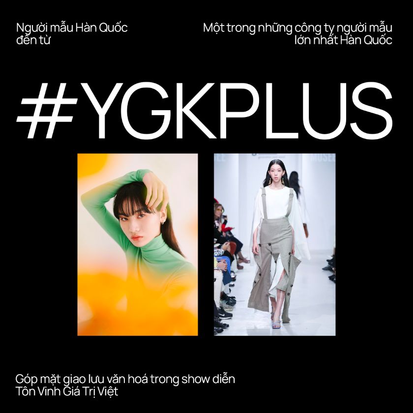 Ygplus Model