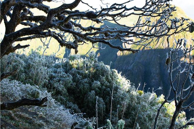 Bang Gia Tren Dinh Fansipan 10041704 1 1