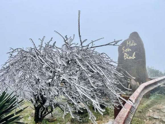 Dinh Mau Son 6 Ngoisaovn W660 H496 1