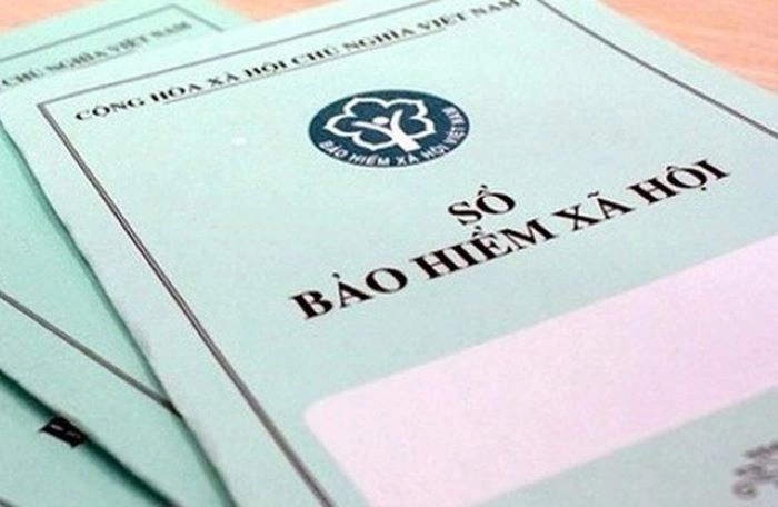 Luu Ban Nhap Tu Dong 49 1