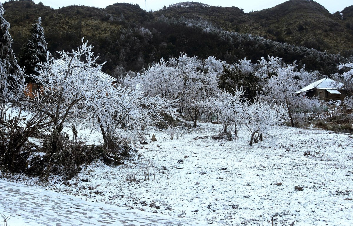 Luu Ban Nhap Tu Dong 58 1