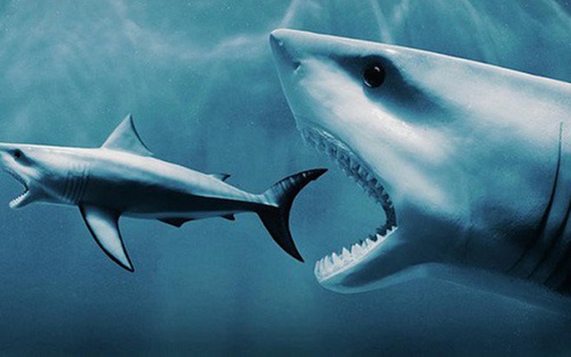 Phien 4 12 Bat Chap Vn Index Tang Manh Khoi Ngoai Tiep Da Ban Rong Hon 600 Ty Dong 1