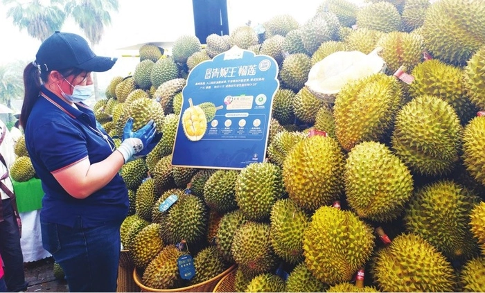 Luu Ban Nhap Tu Dong 41 1