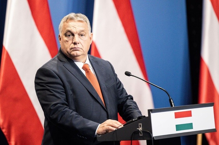 Luu Ban Nhap Tu Dong 1