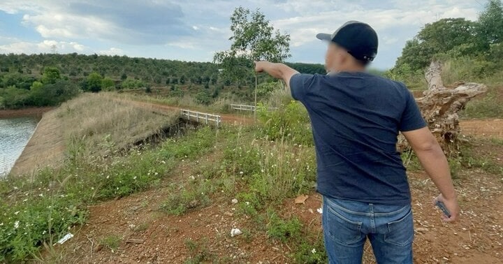 Bo Pho Ve Rung 3 19543356 2