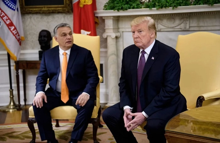 Luu Ban Nhap Tu Dong 13 1