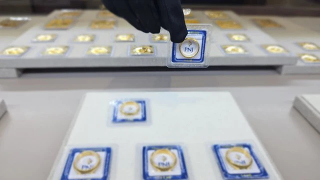 Photo1710143483217 17101434836861346161722 1