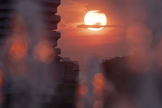 Luu Ban Nhap Tu Dong 29 1