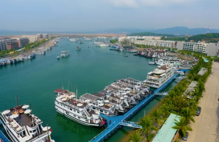 Luu Ban Nhap Tu Dong 45 1