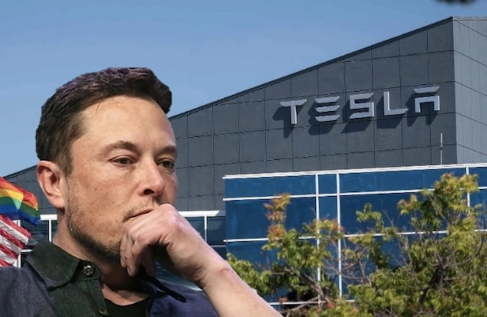 Luu Ban Nhap Tu Dong 90 1