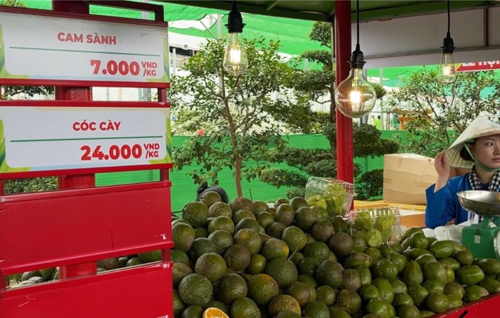 99fb6e04 004e 4851 B280 640800877475 2