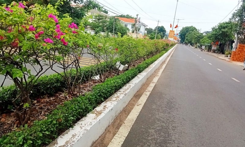 Luu Ban Nhap Tu Dong 66 1