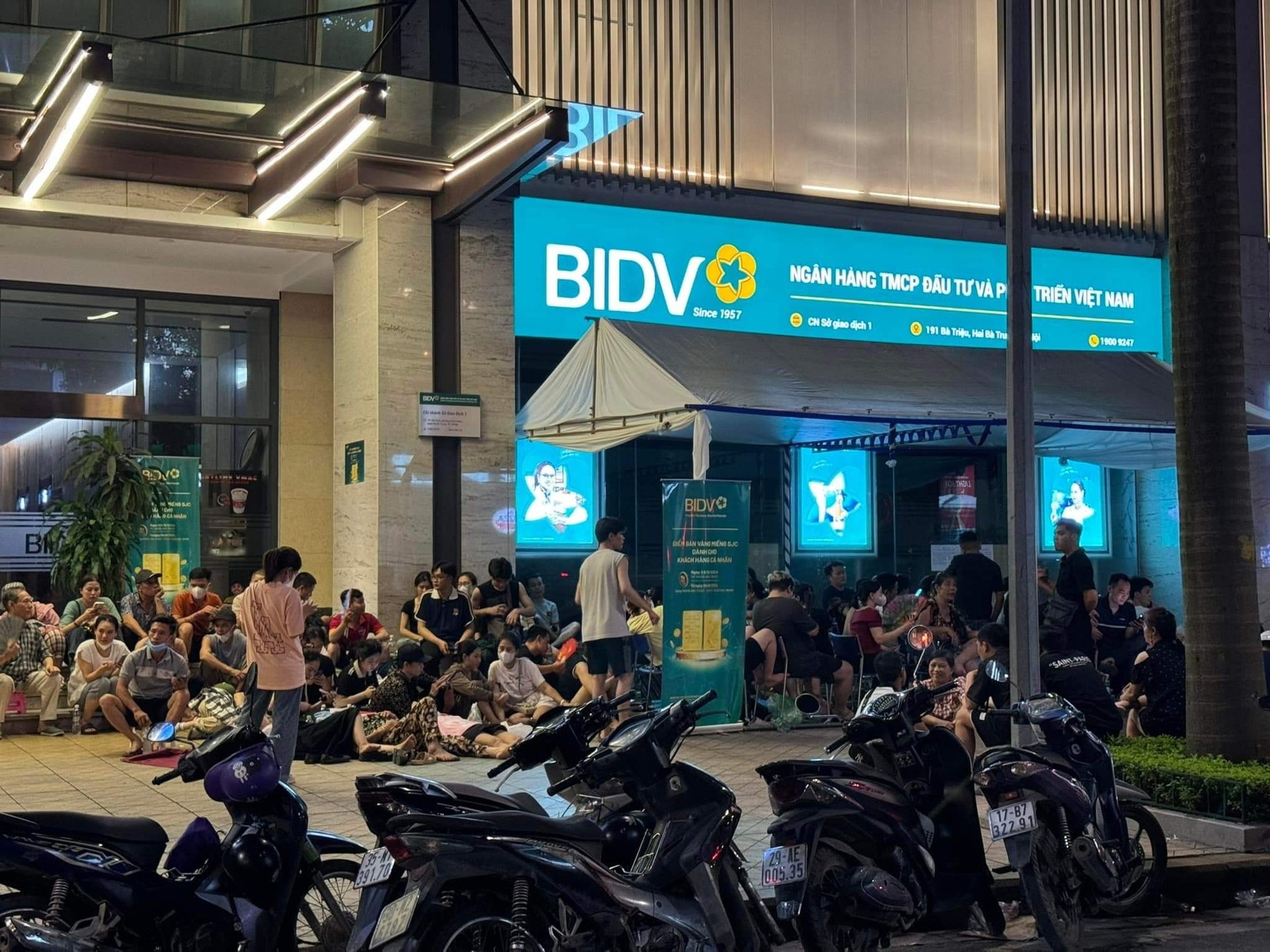 Trang Dem Canh Mua Vang Nam Via He Khong Dam Roi Cho Vi So Mat Luot 4